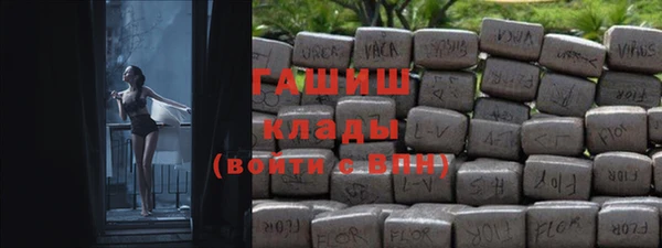spice Богородицк