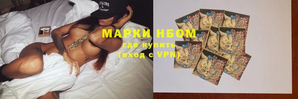 spice Богородицк