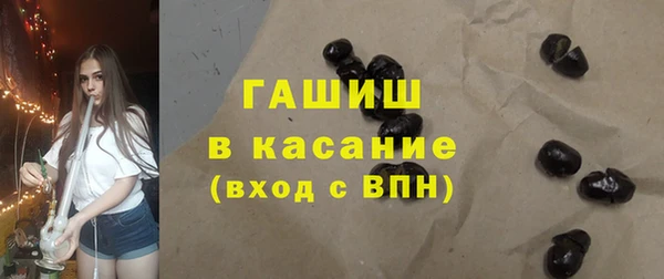 spice Богородицк