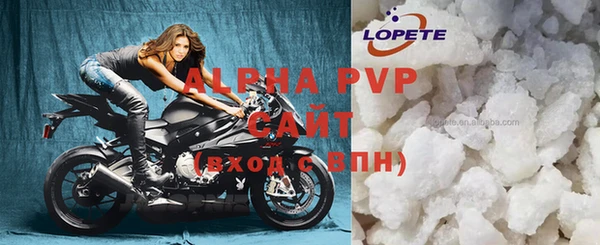 spice Богородицк