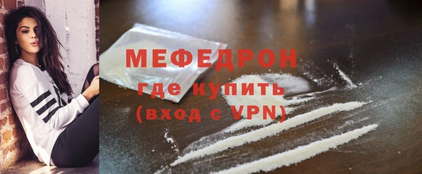 spice Богородицк