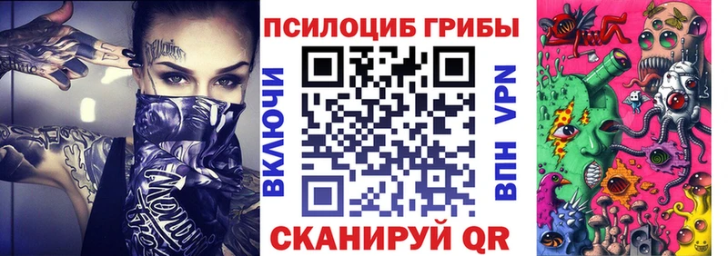 Псилоцибиновые грибы GOLDEN TEACHER  мориарти официальный сайт  МЕГА сайт  Фатеж  купить наркотики цена 